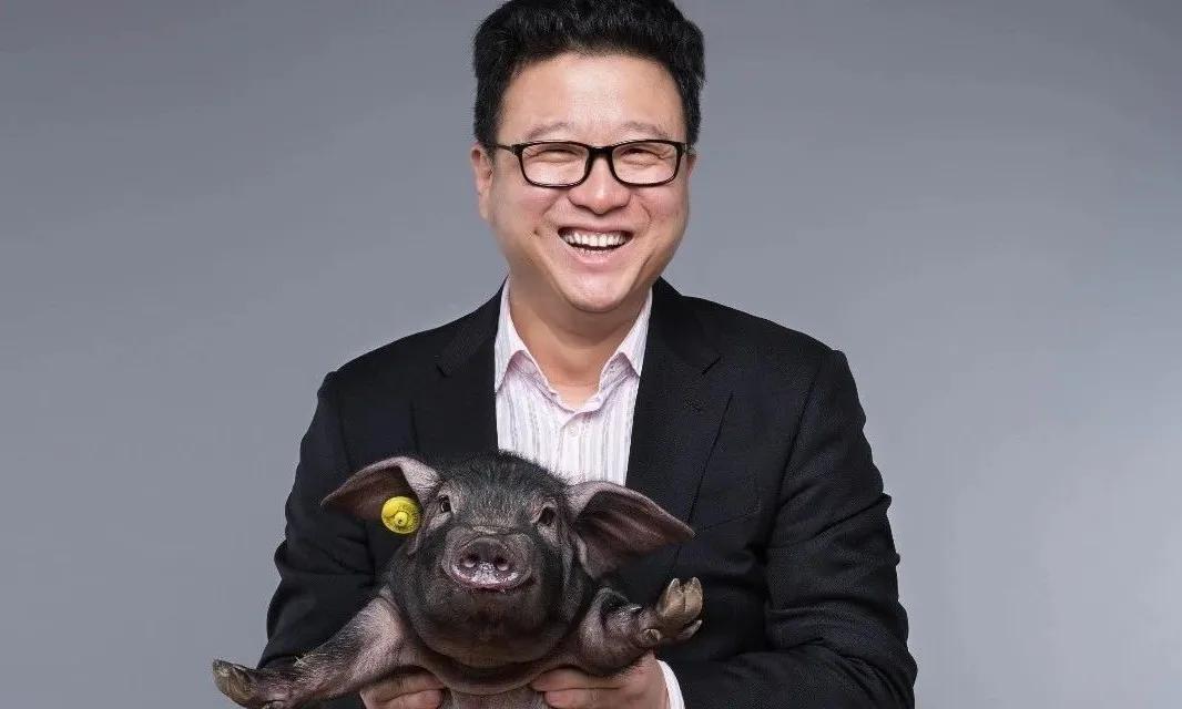 中国养猪业需要“鲶鱼效应”