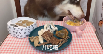 “大胃王”转做宠物吃播短视频：继续吃播带货？
