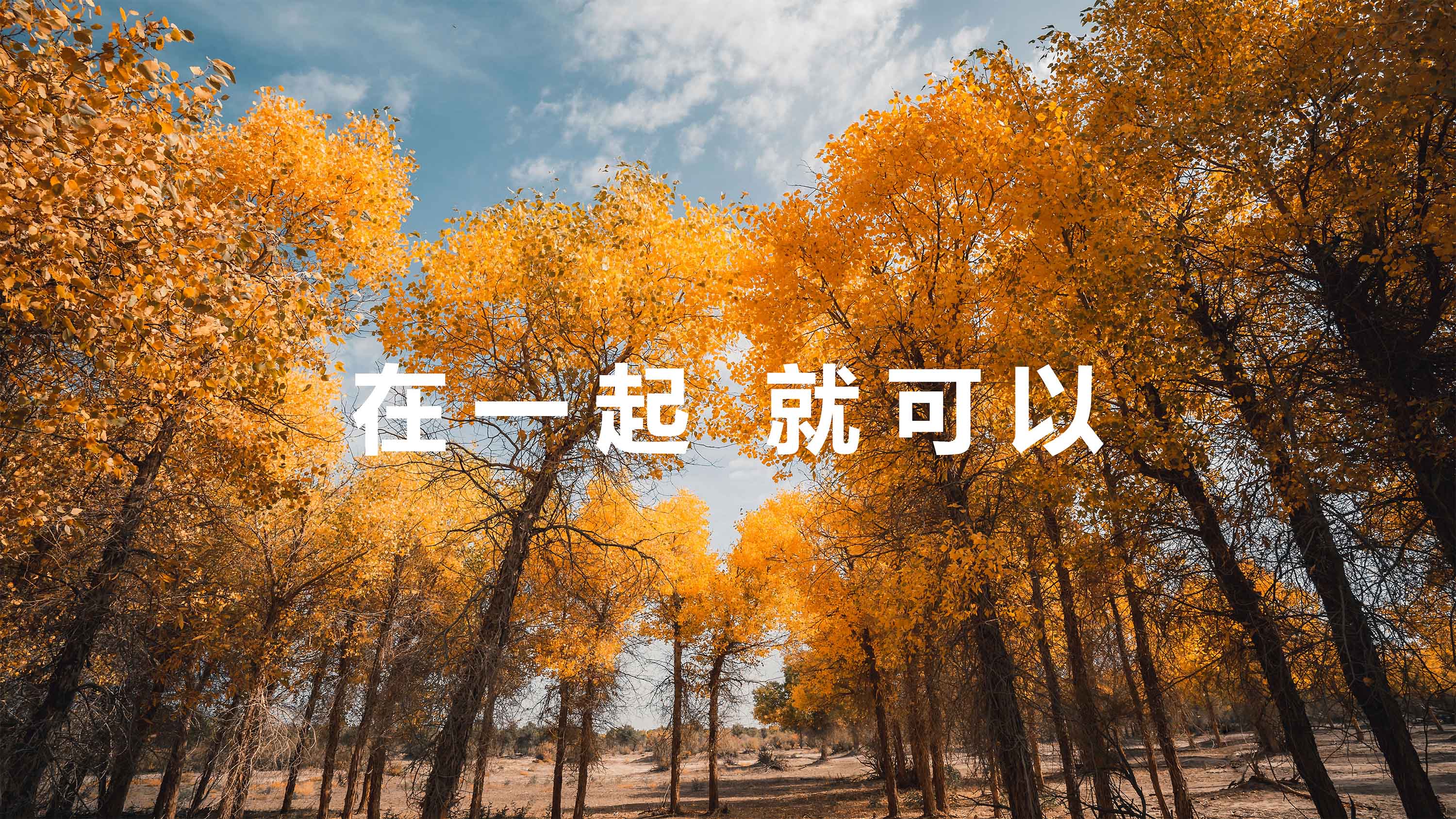 华为Mate 40系列发布背后：“在一起”就可以创造更多奇迹