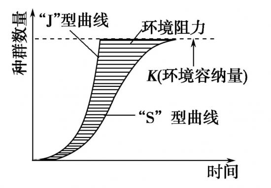 图片39.png