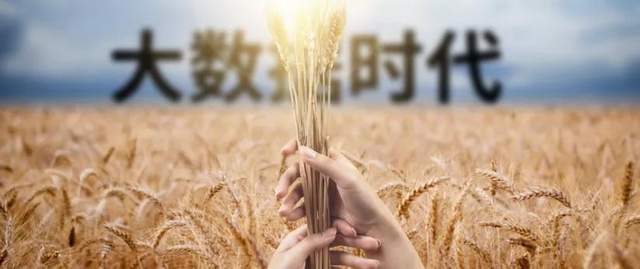 从田间到餐桌，5G、IoT、AI如何催生智慧农业？