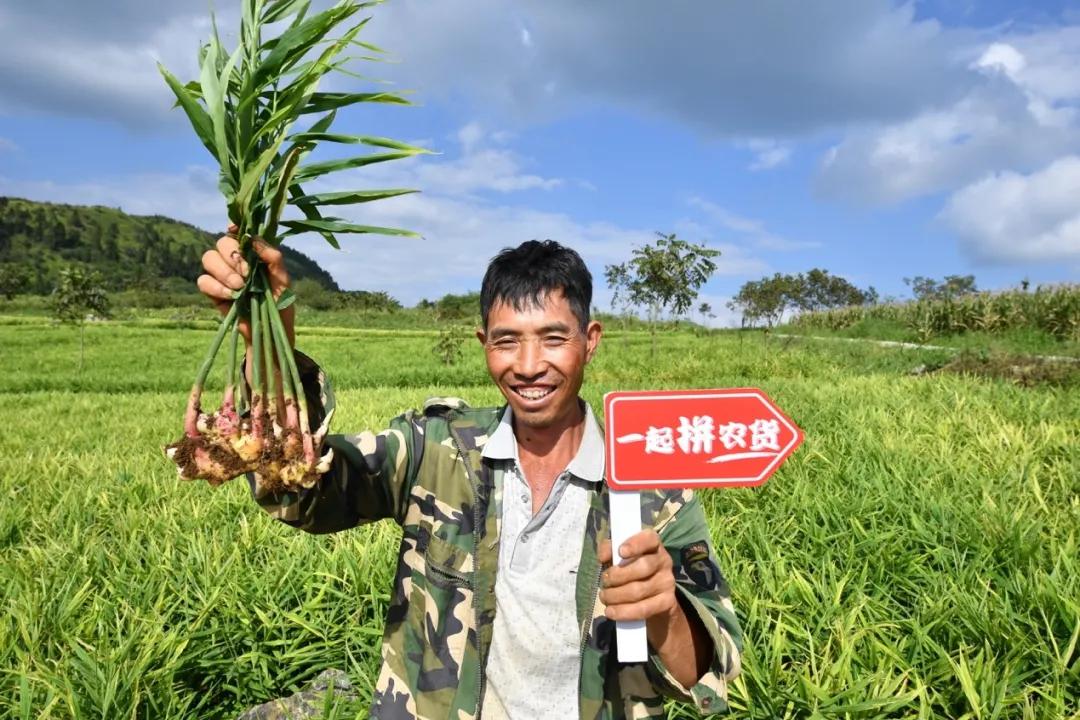 拼在“最初一公里”的十万年轻人
