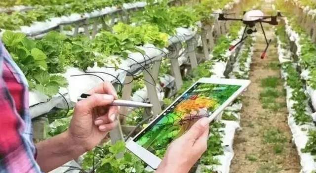 从田间到餐桌，5G、IoT、AI如何催生智慧农业？