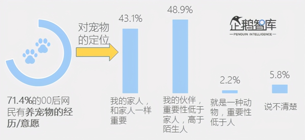 恋物志（一）：网红带货，宠主追捧，2021年宠物智能硬件会火吗？