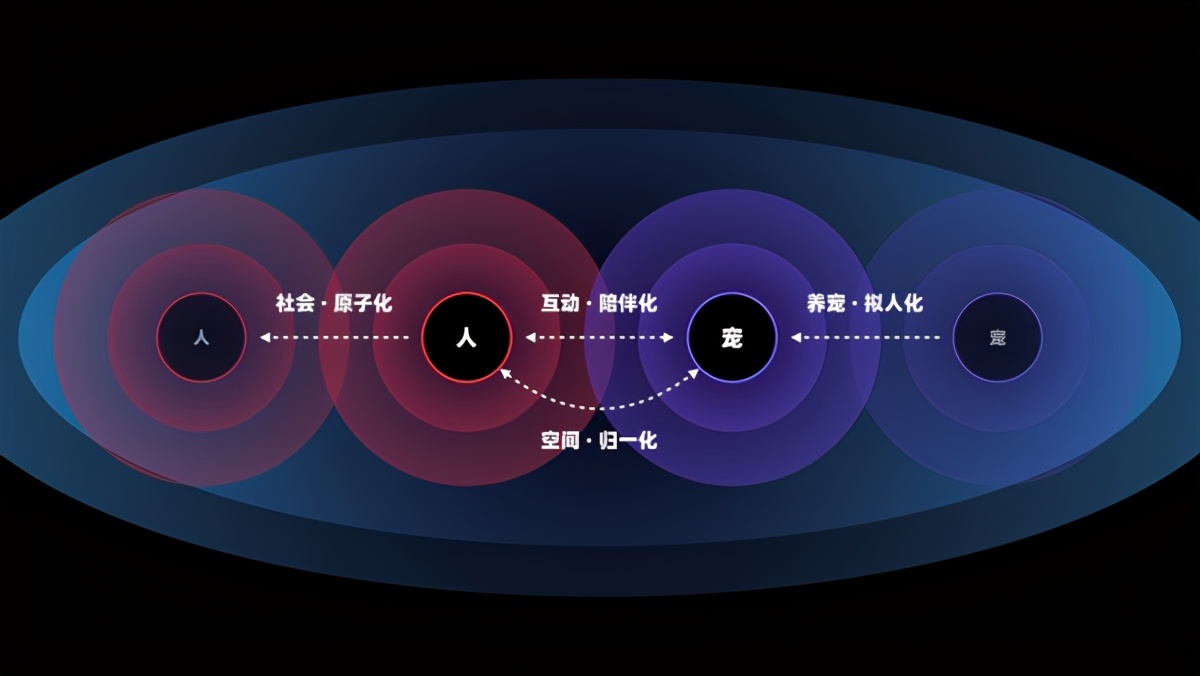 恋物志（一）：网红带货，宠主追捧，2021年宠物智能硬件会火吗？