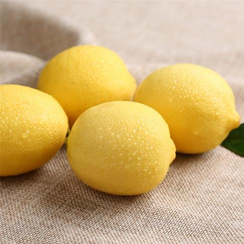 “手打柠檬茶”风口上的黑马：柠季能否成为新独角兽？