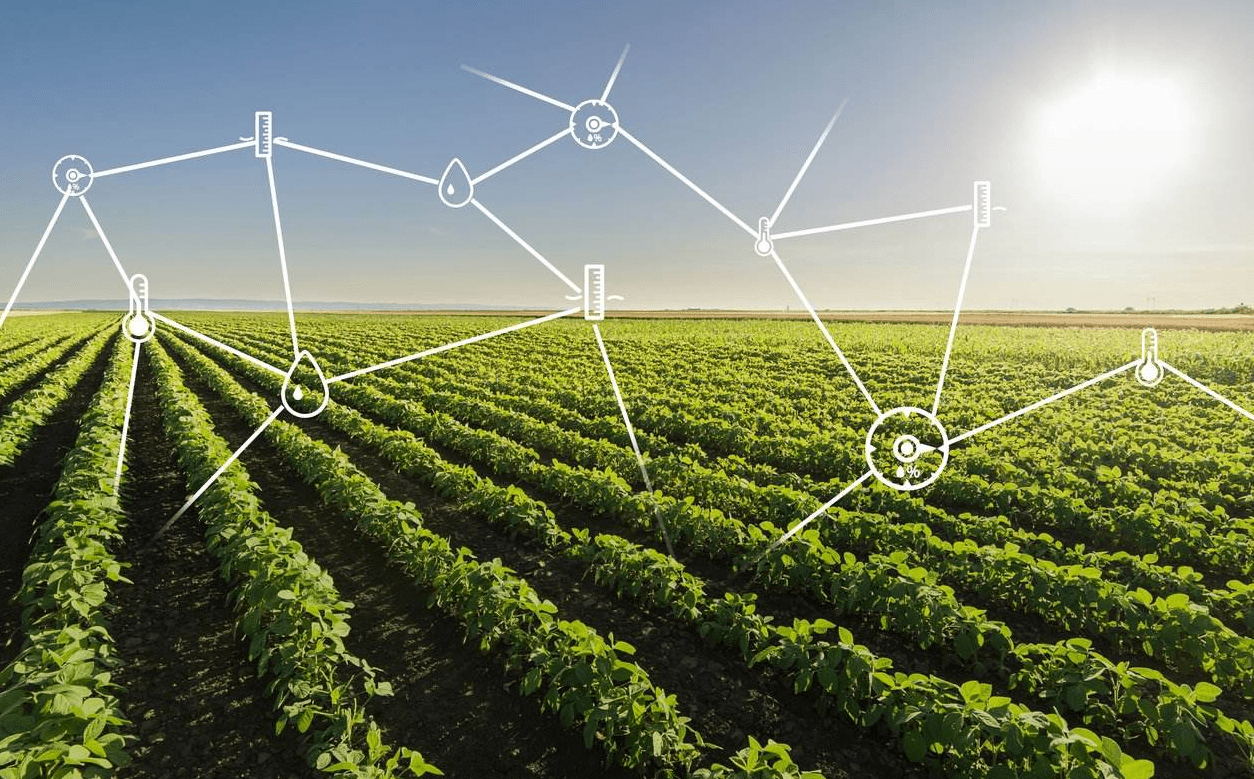 当AI生长在田间地头，我们离智慧农业还有多远？