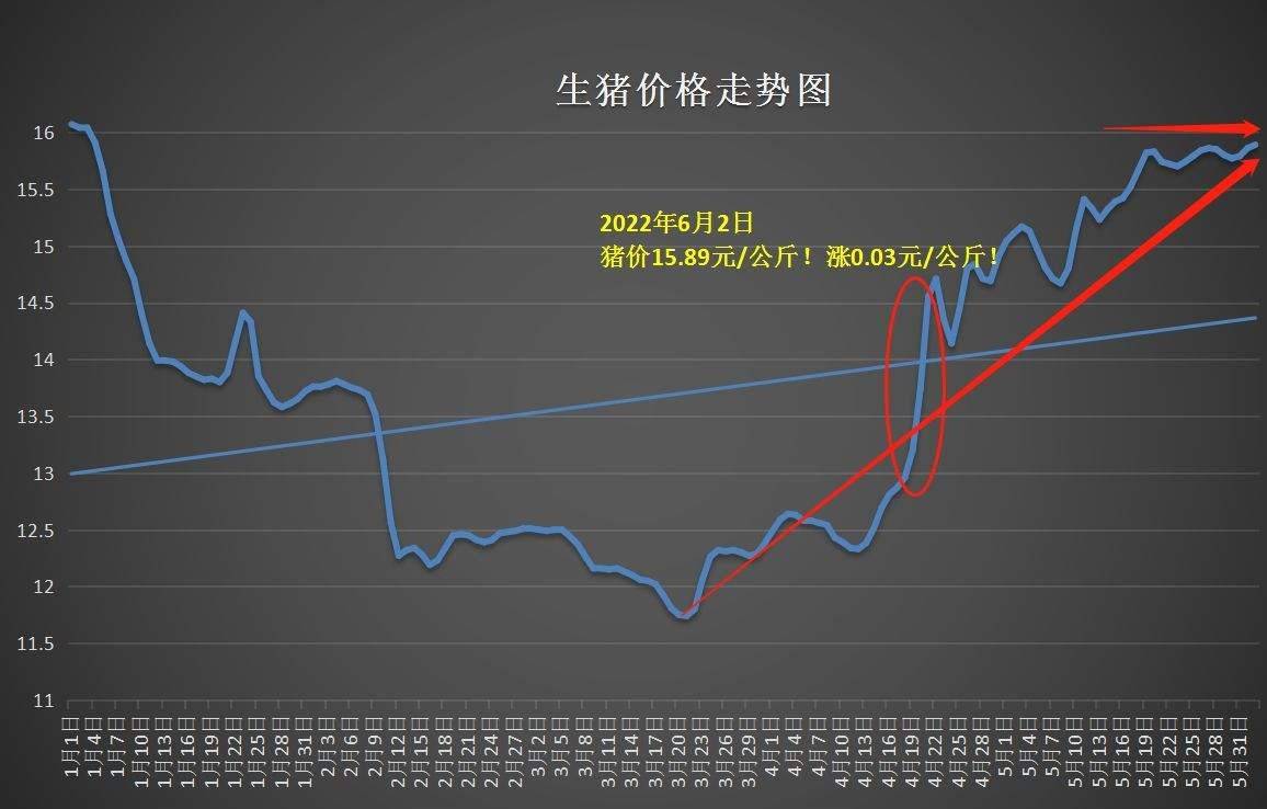 “猪周期”循环往复，猪企进退两难