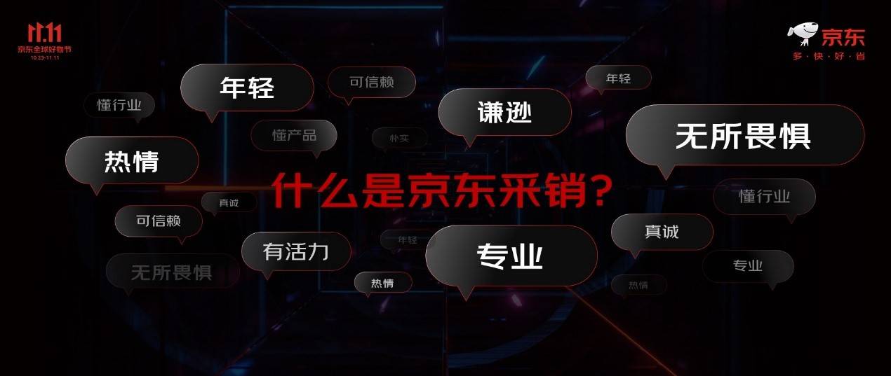 约300个品牌销售破亿元 京东11.11以实在的低价点燃消费热情