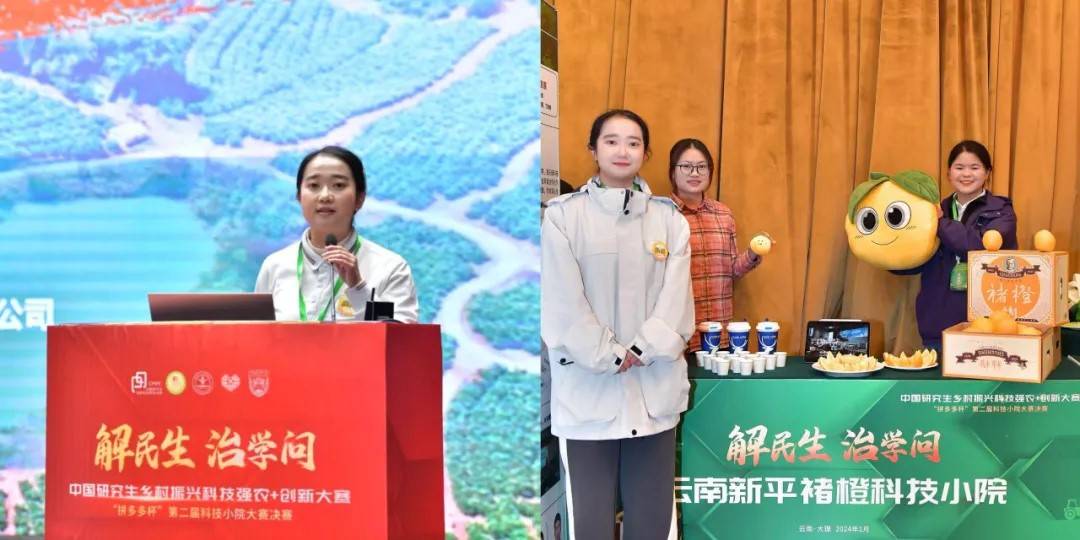 拼多多的百亿研发，造福了谁？
