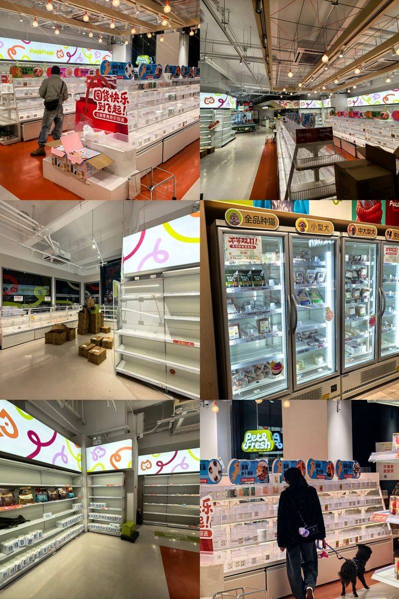 押宝宠物经济，光明现在下场还来得及吗？